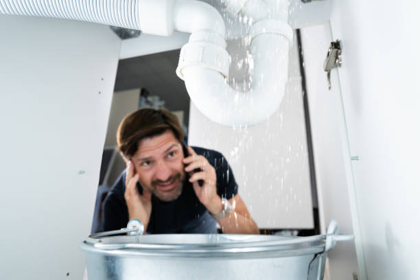 Best Plumbing Repair Near Me  in Sheboygan Falls, WI