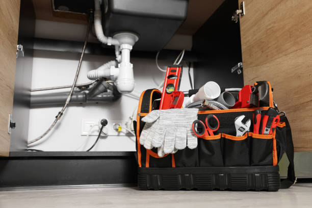 Best Commercial Plumbing Services  in Sheboygan Falls, WI