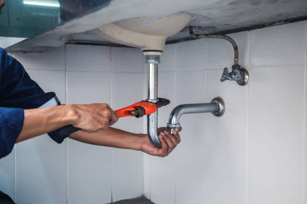 Best Plumbing Inspection Services  in Sheboygan Falls, WI