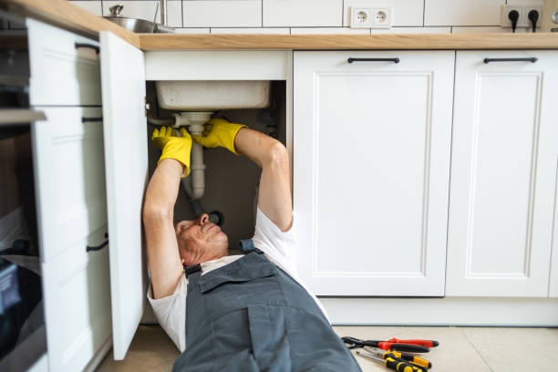 Best Same-Day Plumbing Service  in Sheboygan Falls, WI