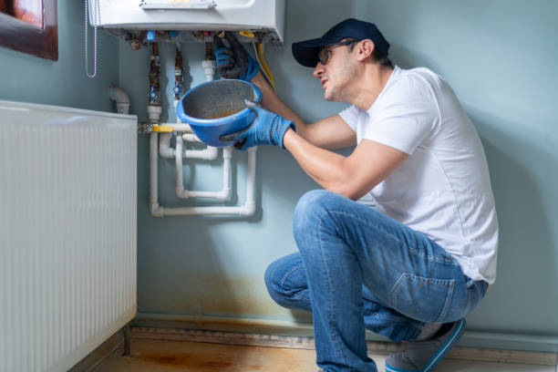 Best Local Plumber Services  in Sheboygan Falls, WI