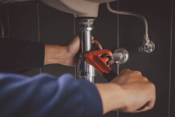 Best Affordable Plumbing Services  in Sheboygan Falls, WI