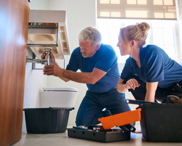 Best Emergency Plumber  in Sheboygan Falls, WI